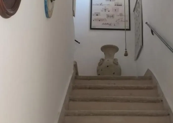 Enza Domus